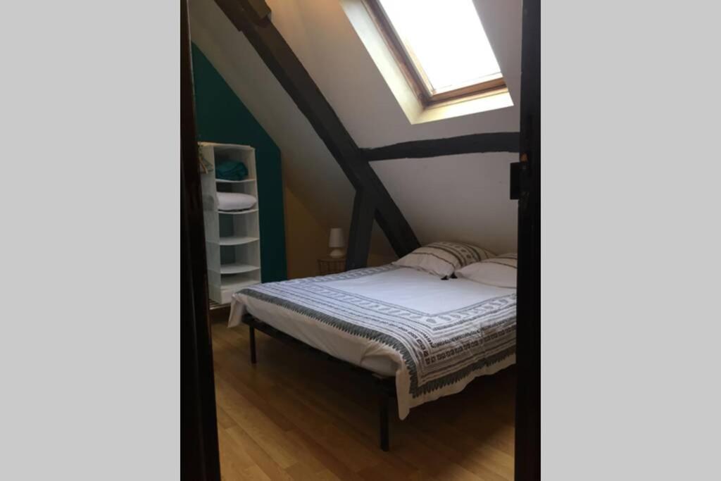 Apartment T3 Duplex Industriel Hyper Centre Historique Troyes